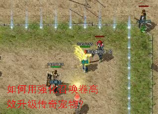 �����ǿ���ٻ�����Ч����������