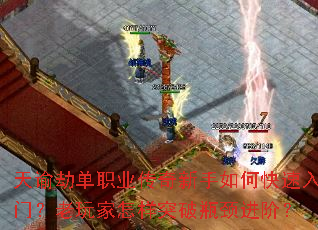 ���ͽٵ�ְҵ����������ο������ţ����������ͻ��ƿ�����ף�