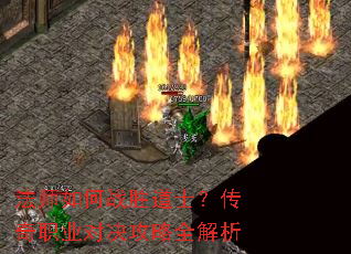 ��ʦ���սʤ��ʿ������ְҵ�Ծ�����ȫ����