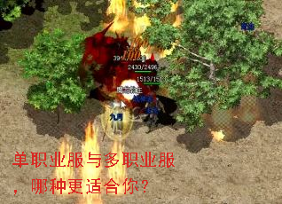 ��ְҵ�����ְҵ�������ָ��ʺ��㣿