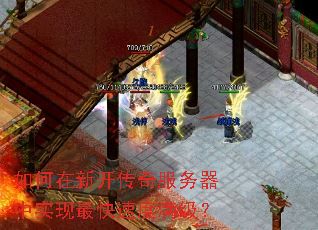 ������¿������������ʵ������ٶ�������