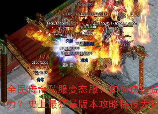 ȫ����˽����̬������ο�������ս����ʷ����񱩰汾�����ؼ������