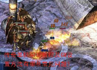 ���浥������̳̼�GM���÷�������Щ�������⣿