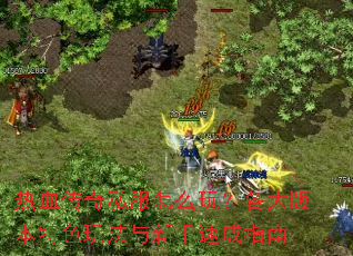 ��Ѫ����˽����ô�棿����汾��ɫ�淨�������ٳ�ָ��