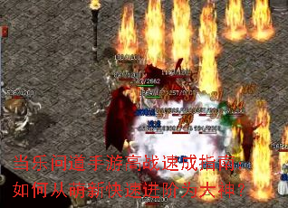 �����ʵ����θ�ս�ٳ�ָ�ϣ���δ����¿��ٽ���Ϊ����