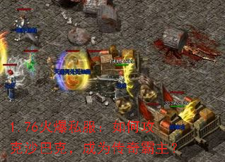 1.76��˽������ι���ɳ�Ϳˣ���Ϊ���������