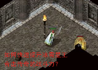 如何快速提升冰雪星王合击传奇的战斗力? 如何快速提升冰雪星王合击传奇的战斗力?