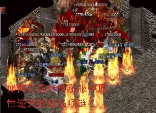 ��δ��촫��˽������������ļ�Ʒ������