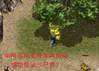 如何运用至尊宝典指南,成功登顶沙巴克? 如何运用至尊宝典指南,成功登顶沙巴克?