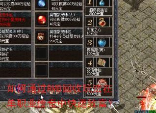 ���ͨ��RMB�����淨�ڵ�ְҵ�����п����¸���
