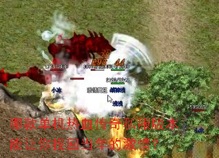 �Ŀ����Ѫ����˽���汾�������һص���ļ��飿