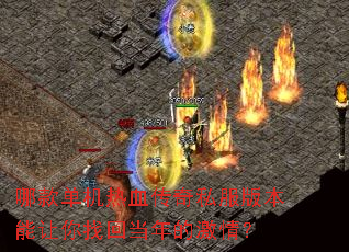 �Ŀ����Ѫ����˽���汾�������һص���ļ��飿