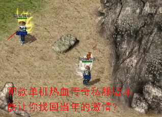 �Ŀ����Ѫ����˽���汾�������һص���ļ��飿