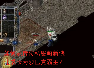 如何从传奇私服萌新快速成长为沙巴克霸主? 如何从传奇私服萌新快速成长为沙巴克霸主?