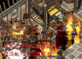 ��δӴ���˽�����¿��ٳɳ�Ϊɳ�Ϳ˰�����