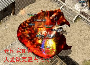 �������ο���ͨ�ػ���΢�临�Ŵ��棿