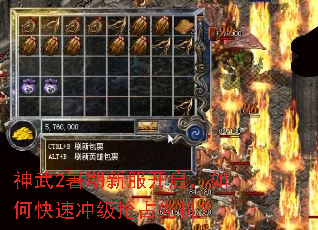 ����2�����·���������ο��ٳ弶��ռ�Ȼ���