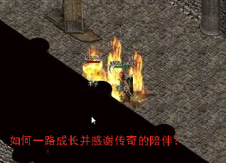 ���һ·�ɳ�����л�������飿