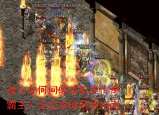 ��ʿ����ʶ���ְҵ���������ȫ�湥���ʴ�ָ��
