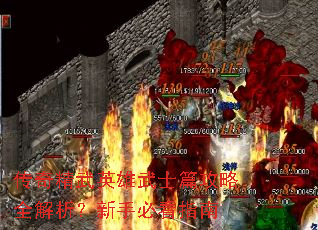 ���澫��Ӣ����ʿƪ����ȫ���������ֱؿ�ָ��