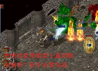 ���澫��Ӣ����ʿƪ����ȫ���������ֱؿ�ָ��