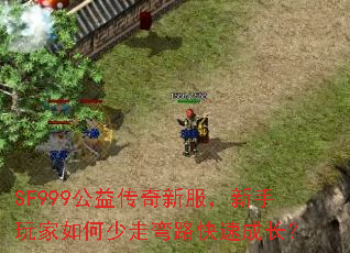 SF999���洫���·�������������������·���ٳɳ���