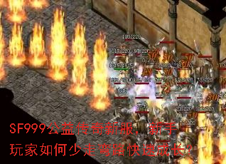 SF999���洫���·�������������������·���ٳɳ���