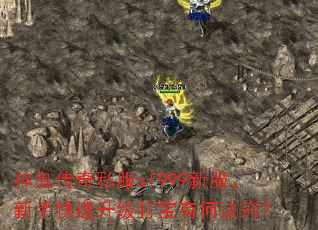 �������˽��sf999�·������ֿ����������кξ��ϣ�