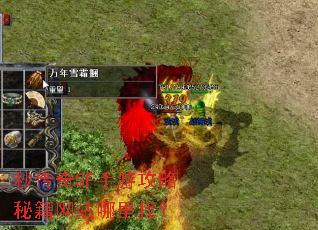 �봫��SF���ι����ؼ���վ�����ң�