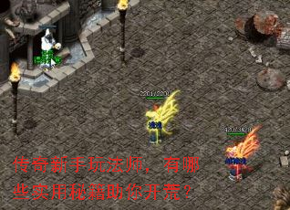 传奇新手玩法师,有哪些实用秘籍助你开荒? 传奇新手玩法师,有哪些实用秘籍助你开荒?