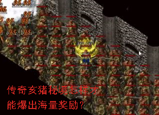 ���溥���ؾ��������ܱ�������������