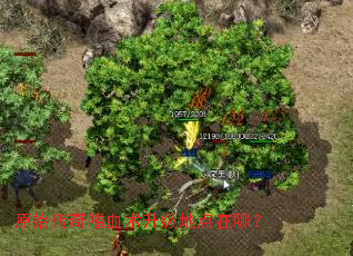 原始传奇嗜血术升级地点在哪? 原始传奇嗜血术升级地点在哪?