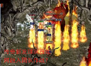 传奇新发球队员如何融入团队作战? 传奇新发球队员如何融入团队作战?
