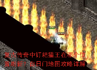 ���Ŵ����ж���è�����ĸ�λ��ˢ�£������ŵ�ͼ�������