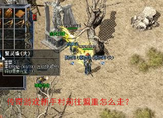 传奇游戏新手村前往盟重怎么走? 传奇游戏新手村前往盟重怎么走?