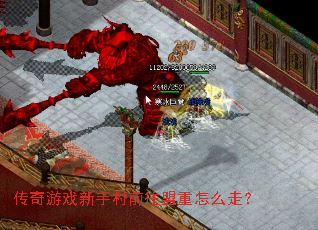 传奇游戏新手村前往盟重怎么走? 传奇游戏新手村前往盟重怎么走?