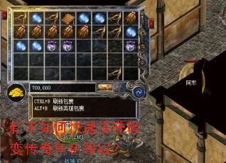 新手如何快速提升轻变传奇角色等级? 新手如何快速提升轻变传奇角色等级?
