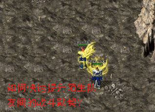 如何快速提升陌生队友间的战斗默契? 如何快速提升陌生队友间的战斗默契?