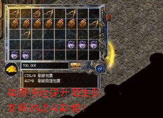 如何快速提升陌生队友间的战斗默契? 如何快速提升陌生队友间的战斗默契?