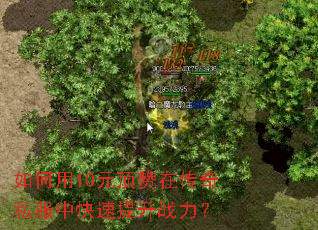 如何用10元顶赞在传奇私服中快速提升战力? 如何用10元顶赞在传奇私服中快速提升战力?