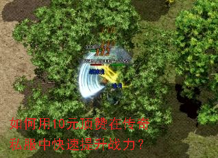 如何用10元顶赞在传奇私服中快速提升战力? 如何用10元顶赞在传奇私服中快速提升战力?