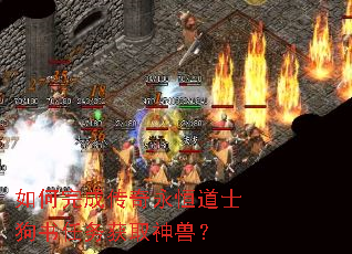 如何完成传奇永恒道士狗书任务获取神兽? 如何完成传奇永恒道士狗书任务获取神兽?