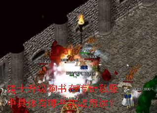 道士升级狗书在传奇私服中具体有哪些实战用途? 道士升级狗书在传奇私服中具体有哪些实战用途?