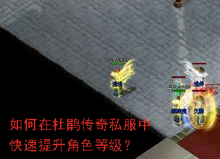 ����ڶž鴫��˽���п���������ɫ�ȼ���