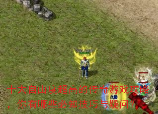 十大自由度超高的传奇游戏攻略,你有哪些必知技巧与疑问? 十大自由度超高的传奇游戏攻略,你有哪些必知技巧与疑问?