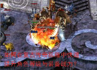 ����ڸ��Ŵ���˽���п���������ɫ�ȼ���װ��ս����