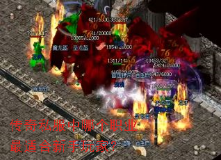 ����˽�����ĸ�ְҵ���ʺ�������ң�