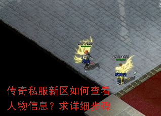 传奇私服新区如何查看人物信息?求详细步骤 传奇私服新区如何查看人物信息?求详细步骤