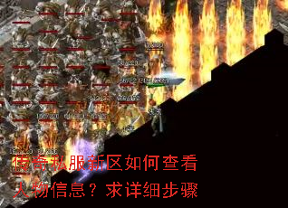 传奇私服新区如何查看人物信息?求详细步骤 传奇私服新区如何查看人物信息?求详细步骤