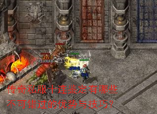 ����˽��ʮ����������Щ���ɴ����������뼼�ɣ�